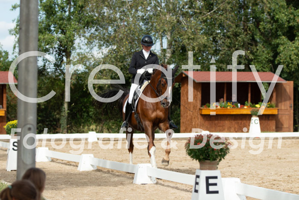 IMG_3516 | Creatify Fotografie