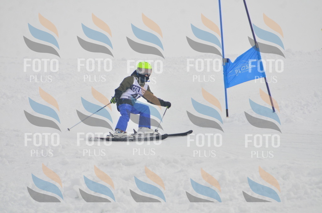 A5368 | holidayphoto