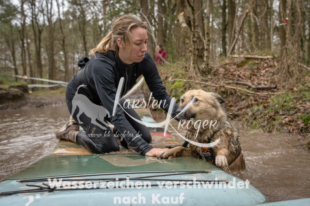 1133_ZZ93429 | kk-dogfotos