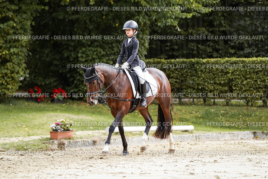 DSC05188 | Pferdegrafie