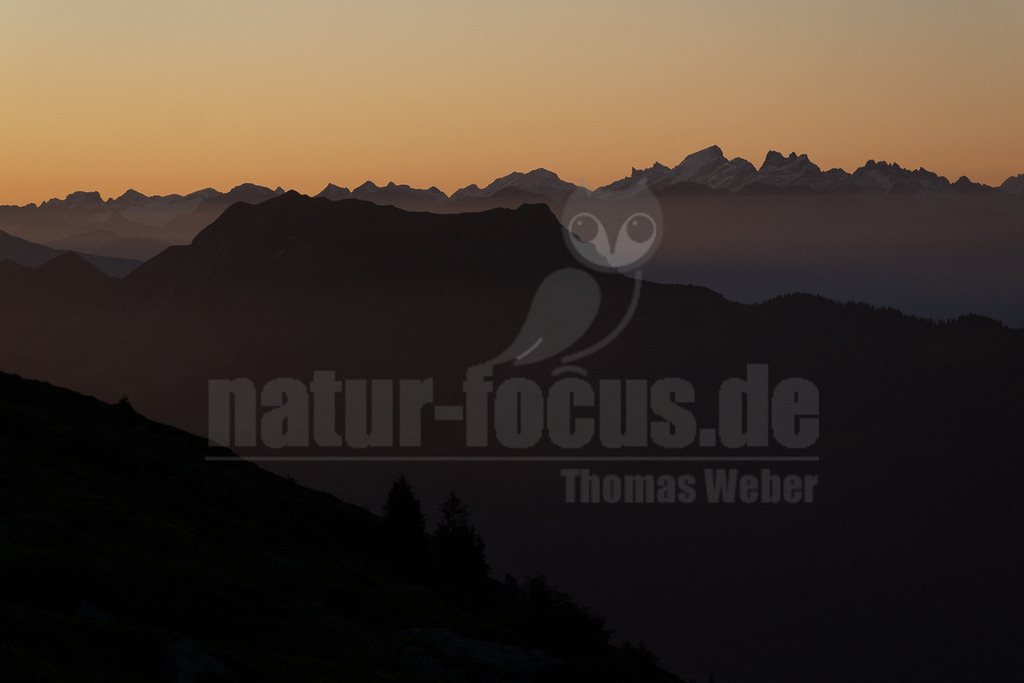 R6NF3721_20250710 | Die Aufnahme zeigt eine Berglandschaft im Gegenlicht, wobei die Berge als dunkle Silhouetten vor einem warmen, orangefarbenen Himmel erscheinen. Die verschiedenen Höhen und Formen der Berge erzeugen eine interessante Tiefenwirkung. Die Bäume im Vordergrund sind ebenfalls als dunkle Silhouetten dargestellt und tragen zur räumlichen Wirkung bei. Die gleichmäßige Ausleuchtung des Himmels verstärkt den Kontrast und betont die Formen der Berge. - Realisiert mit Pictrs.com