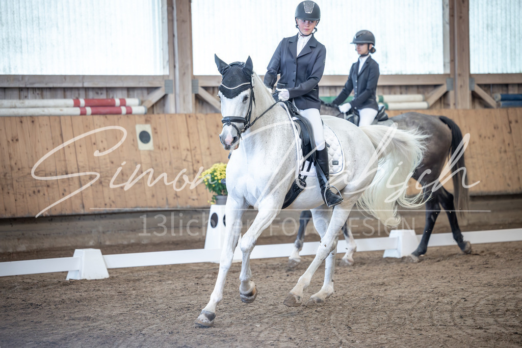 20251011-_3LI7717 | Tierfotografie Pferde, Hunde, Katzen, Haustiere.
Turnierfotografie Reitturniere, Reiten, Springreiten, Dressur in Hanau, dem Main-Kinzig-Kreis und dem Rhein-Main- Gebiet um Frankfurt