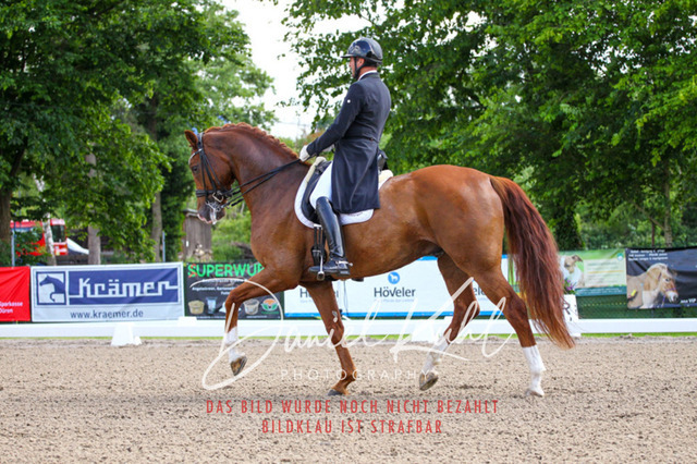 DKP41311 | Turnierfotos kaufen im Webshop von Daniel Kuhl Photography – entdecke professionelle Reitsportfotos aus Turnieren & Events. Hochwertige Turnierbilder online bestellen & sichern. Jetzt Fotos von Reitsportturnieren kaufen!