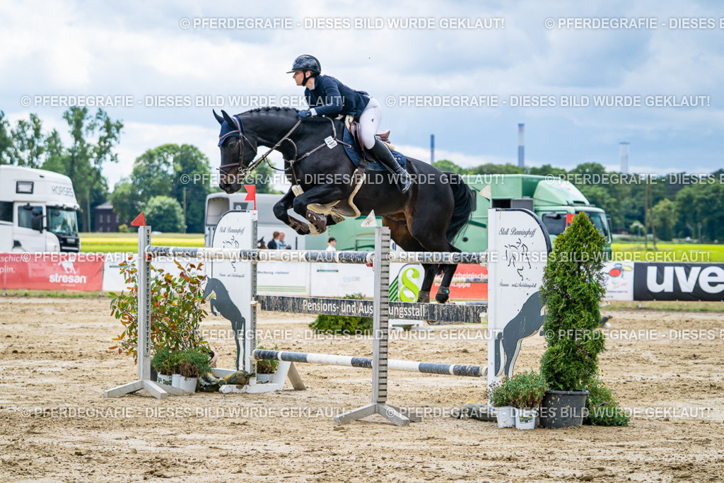 DSC05838 | Pferdegrafie