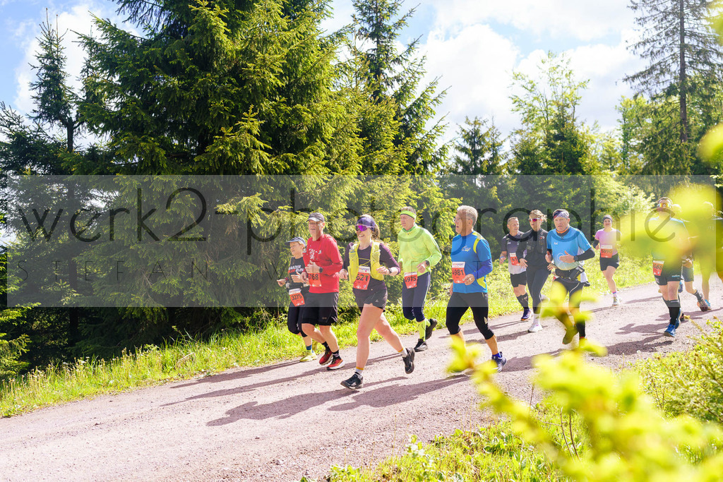 Rennsteiglauf Marathon 2025 | Marathon von Neuhaus/Rwg. nach Schmiedefeld/Rstg. am 17. Mai 2025