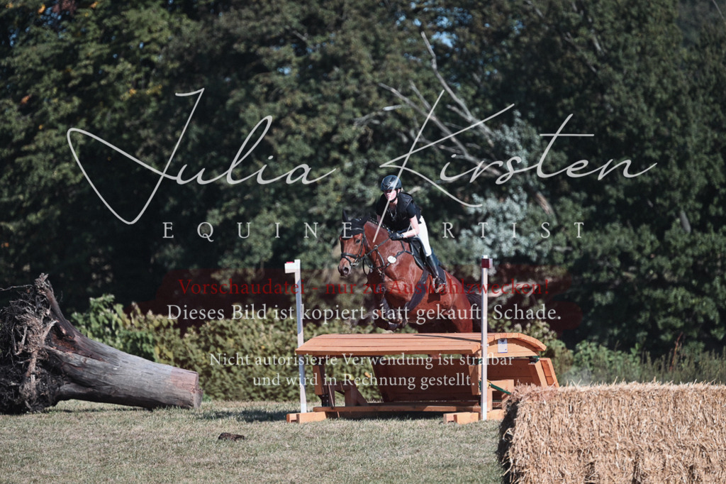 DSC_8776 | Pferde- und Turnierfotografie in Westsachsen. Pferdeportraits, Auftragszeichnungen und intuitive Kunst.