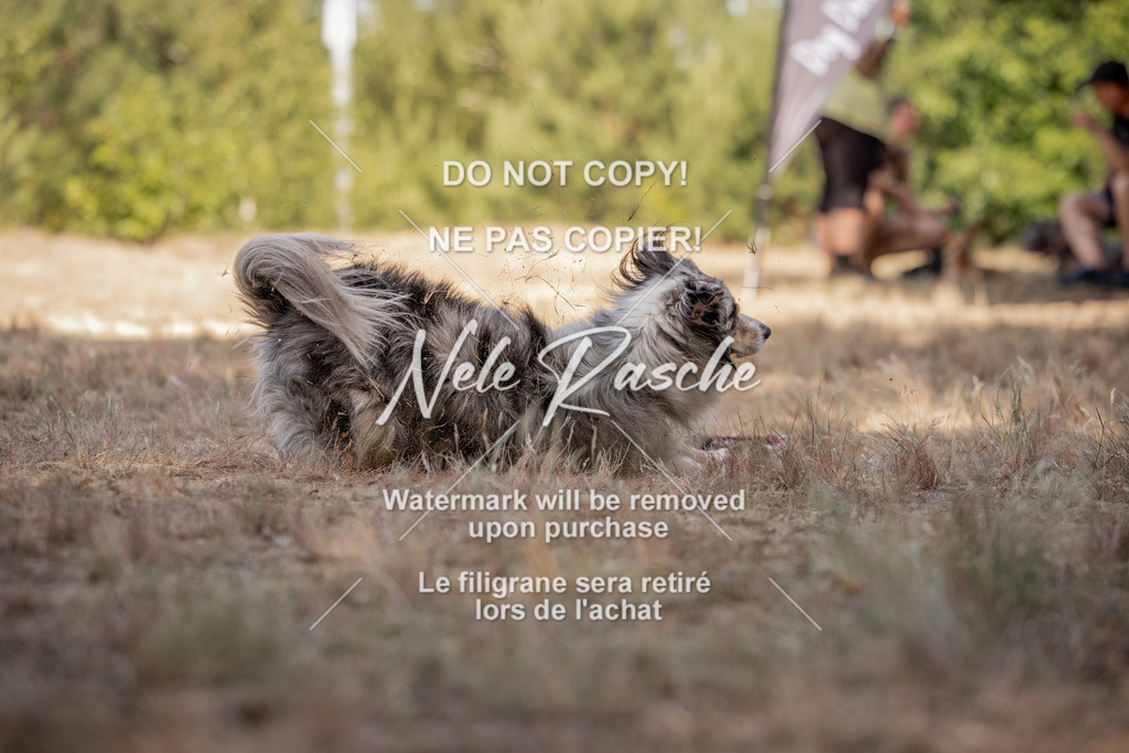 nelerasche_soDD2_102 | nelerasche