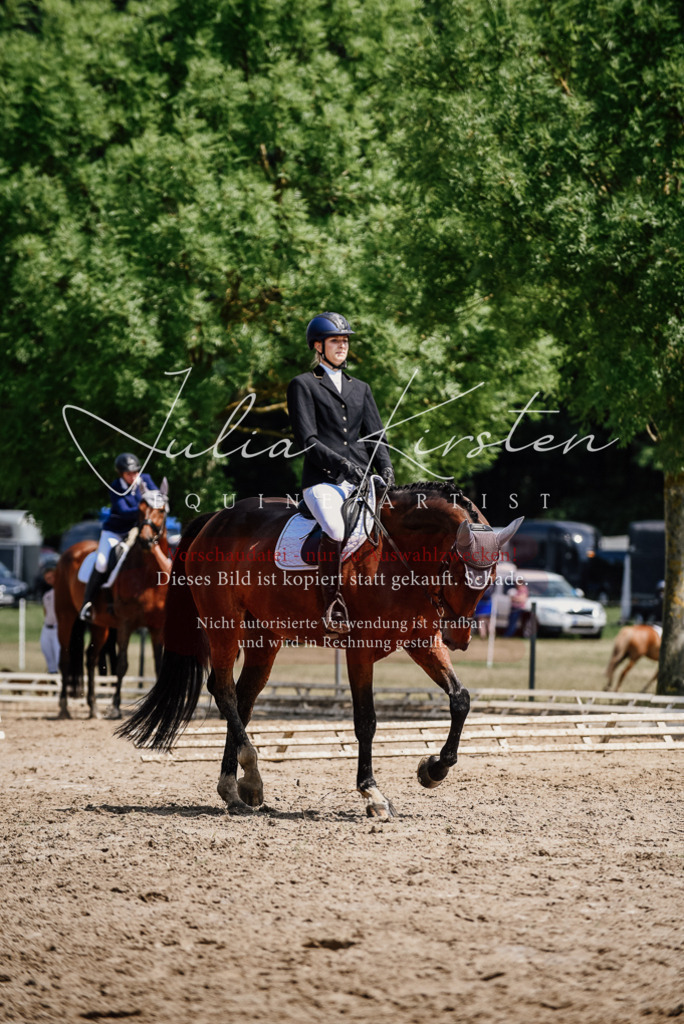 DSC_1167 | Pferde- und Turnierfotografie in Westsachsen. Pferdeportraits, Auftragszeichnungen und intuitive Kunst.