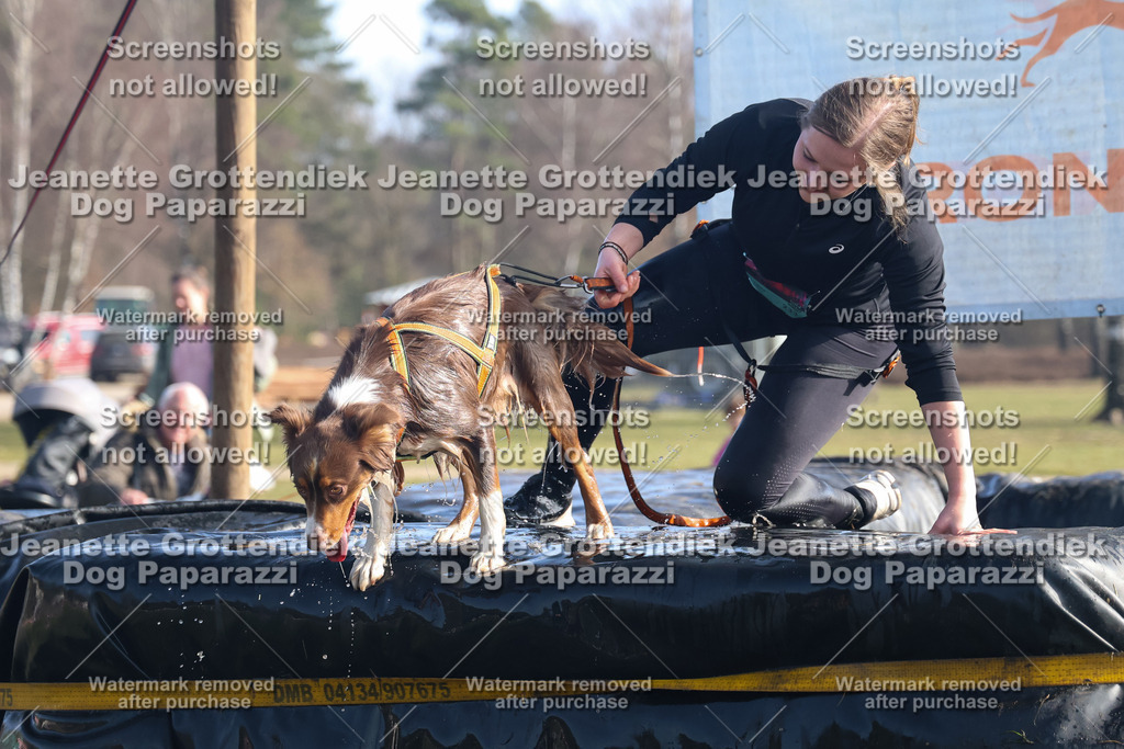 Dog Paparazzi - Strongdog North Mrz26-1187 | Dog Paparazzi Jeanette Grottendiek Fotografie & Videografie - Realisiert mit Pictrs.com