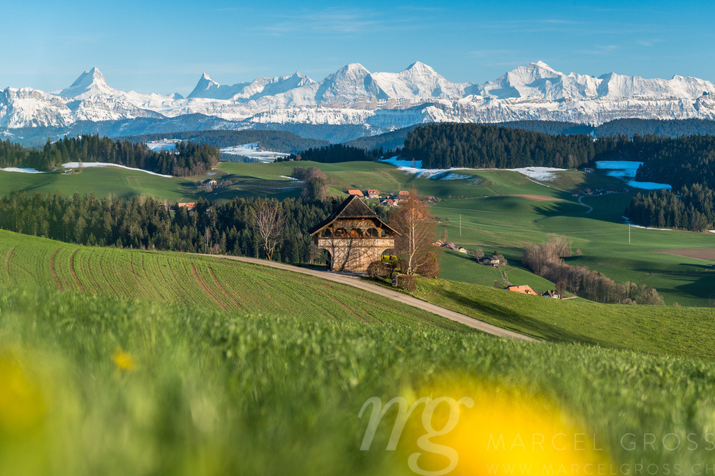 view from Emmental over the Bernese Alps | Die ideale Geschenkidee für Naturliebhaber. Naturbilder von Marcel Gross Photography für ihr Zuhause in den verschiedensten Formaten und Materialien. - Realisiert mit Pictrs.com