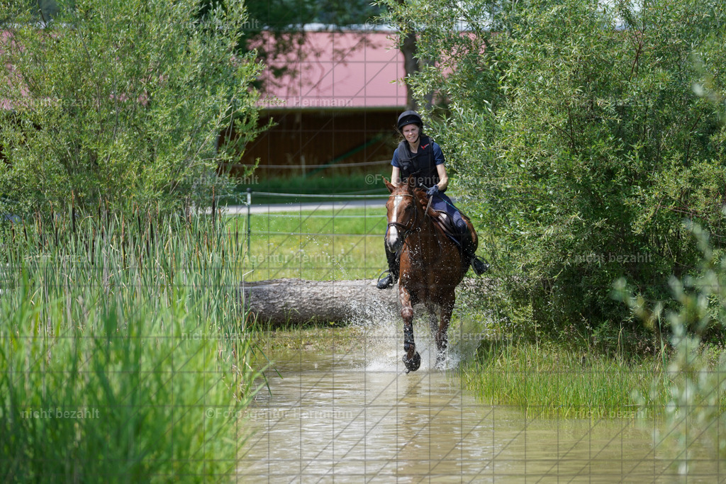 20240622-FAH07150 | Turnierfotografen Bayern, Reitsportbilder aus dem Geländekurs mit Felix Etzel auf dem Gut Waitzacker 2024