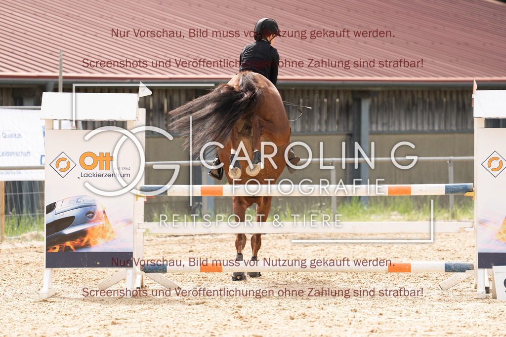 DSC06171 | Springturnier_Ehingen_Mai_2026, Xenia_Mercedes_Schrode, Cansas_32