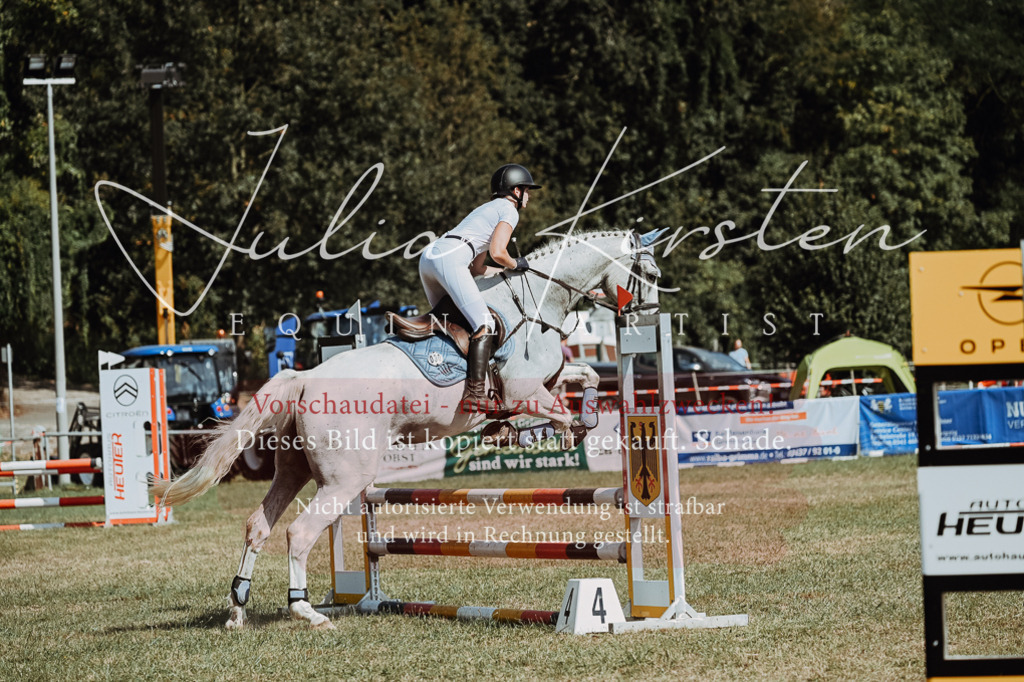 DSC_9577 | Pferde- und Turnierfotografie in Westsachsen. Pferdeportraits, Auftragszeichnungen und intuitive Kunst.