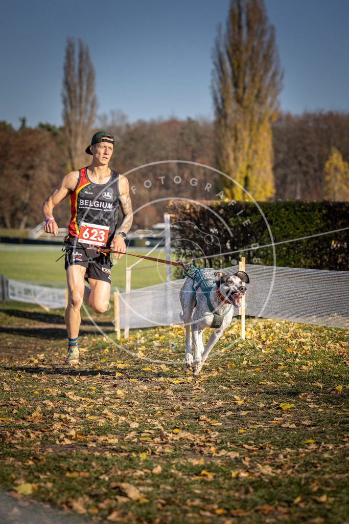 CaniXpix_DV3A9961 | Hundefotografie, Tierfotograf, Pfotenfotografie, Fotoshooting Hund, Hunde Portrait, Hundesport, Hundeportraits, Heideshooting, Hunde, Sportfotograf, Hundefotograf, Turnierhundsport, THS,  - Realisiert mit Pictrs.com