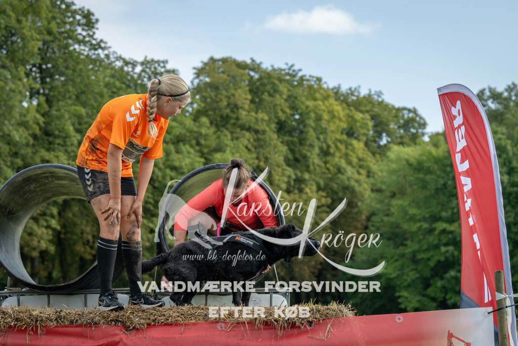 0950_ZZ91239 | kk-dogfotos