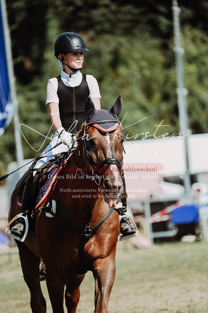 DSC_9473 | Pferde- und Turnierfotografie in Westsachsen. Pferdeportraits, Auftragszeichnungen und intuitive Kunst.