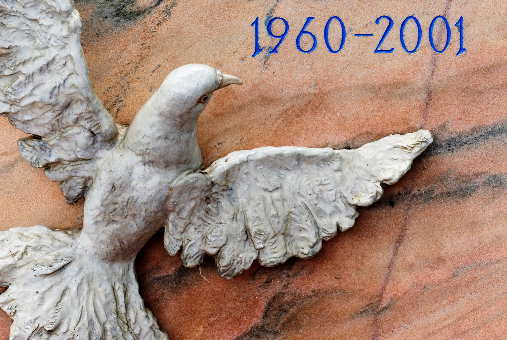 Friedenstaube auf Grabstein | Wien, Austria - August 06, 2010: Zentralfriedhof Wien; Friedenstaube auf Grabstein. - Realisiert mit Pictrs.com