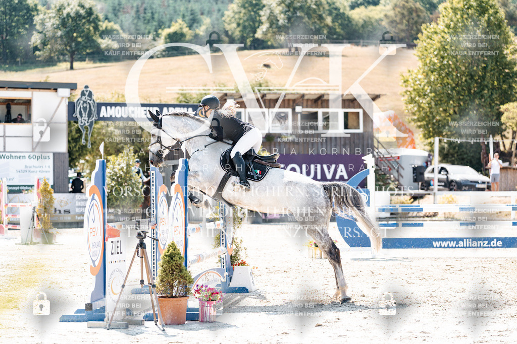 CK909097 | Turnierfotografie Pferdefotografie Trier Rheinland-Pfalz Pferdesport Reitsport Tierfotografie Sportfotografie Pferdevideo Pferdevideografie Equestrianvideography equestrianphotography  - Realisiert mit Pictrs.com