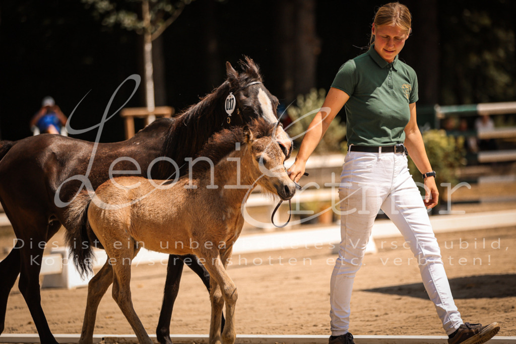 04.DoWP00030 | Leoni Ertmer Photography - Realisiert mit Pictrs.com
