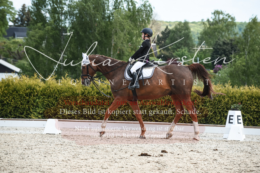 20230518_JK-Röhrsdorf-11-0842 | Pferde- und Turnierfotografie in Westsachsen. Pferdeportraits, Auftragszeichnungen und intuitive Kunst.