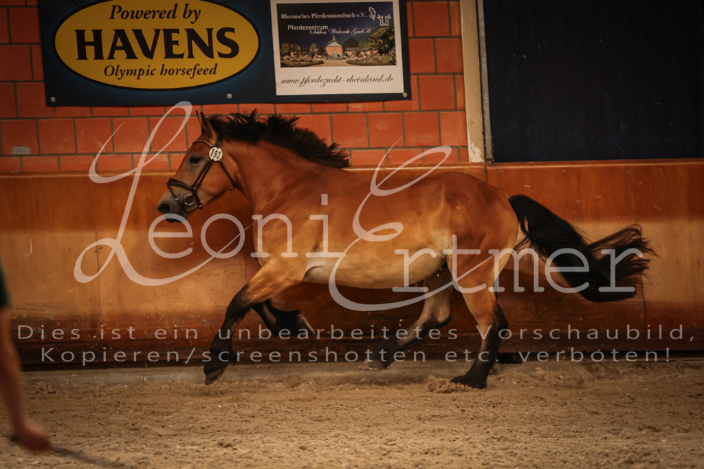 SaFL00299 | Leoni Ertmer Photography - Realisiert mit Pictrs.com