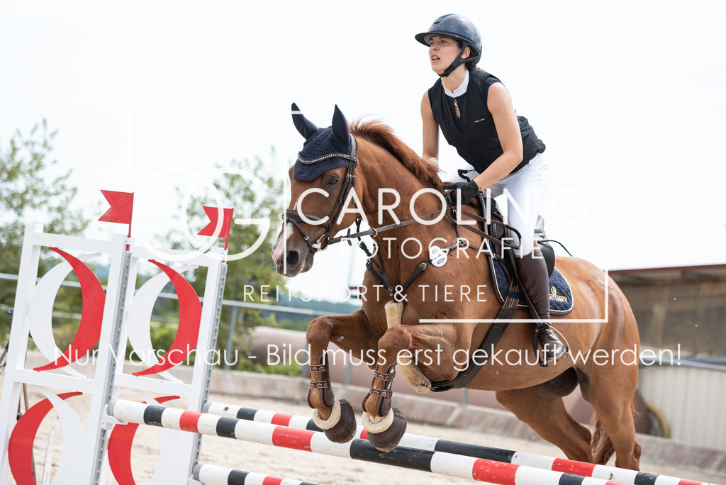 DSC_0197 | Turnierfotografin Carolin Gieschke, Turnierfotografie Carolin G Fotografie, Turnierfotos Kirchheim/Teck, Esslingen, Stuttgart, Bodenseekreis