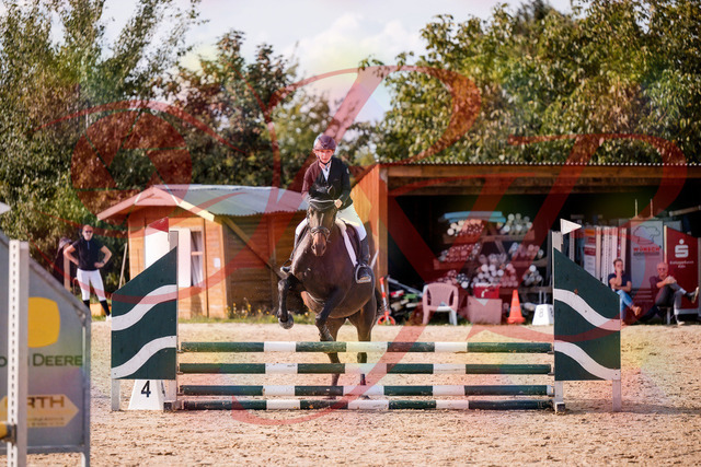 2026_10_03_Siefer-Hof_154935_Z81_68330899 | Professionelle Reitsport-, Turnier- und Eventfotografie von Robert Broda. Galerien mit ausgewählten und bearbeiteten Bildern direkt online ansehen und bestellen.