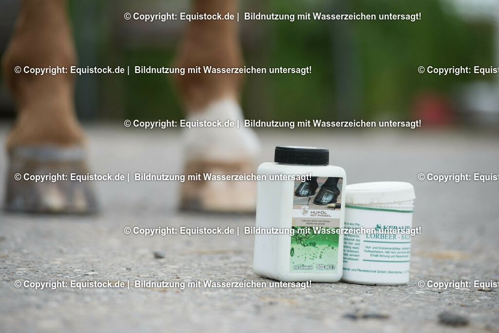 20160626_Hufpflege_0002-2 | Foto: Thomas Hartig