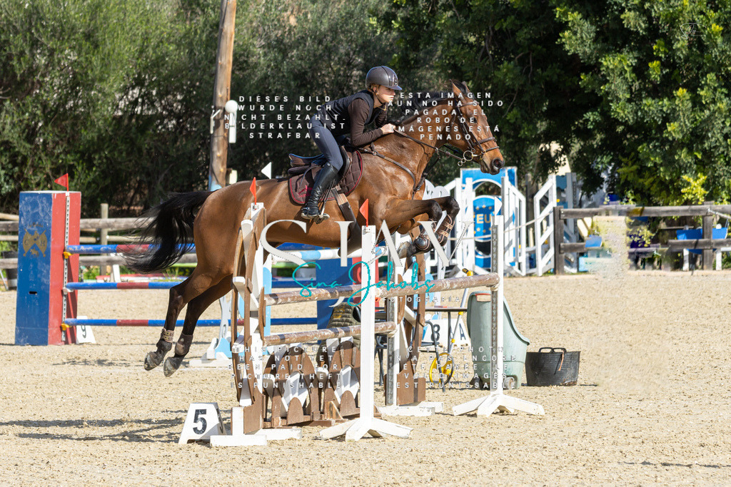 IMG_4335 | s-jay-photography - Realisiert mit Pictrs.com