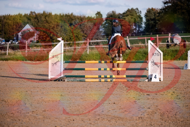 2026_10_03_Siefer-Hof_171217_Z81_09458084 | Professionelle Reitsport-, Turnier- und Eventfotografie von Robert Broda. Galerien mit ausgewählten und bearbeiteten Bildern direkt online ansehen und bestellen.