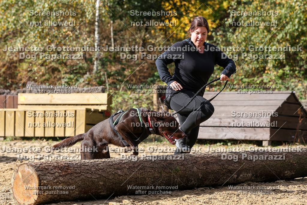 Dog Paparazzi - Strongdog 10-25-5047 | Dog Paparazzi Jeanette Grottendiek Fotografie & Videografie - Realisiert mit Pictrs.com