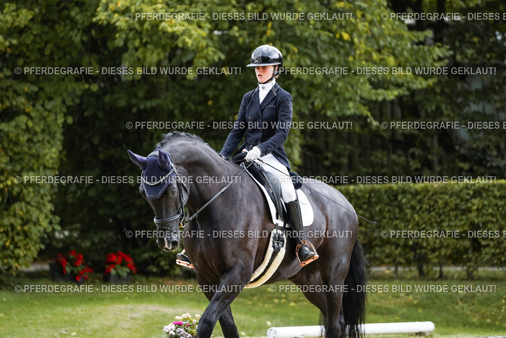 DSC06586 | Pferdegrafie