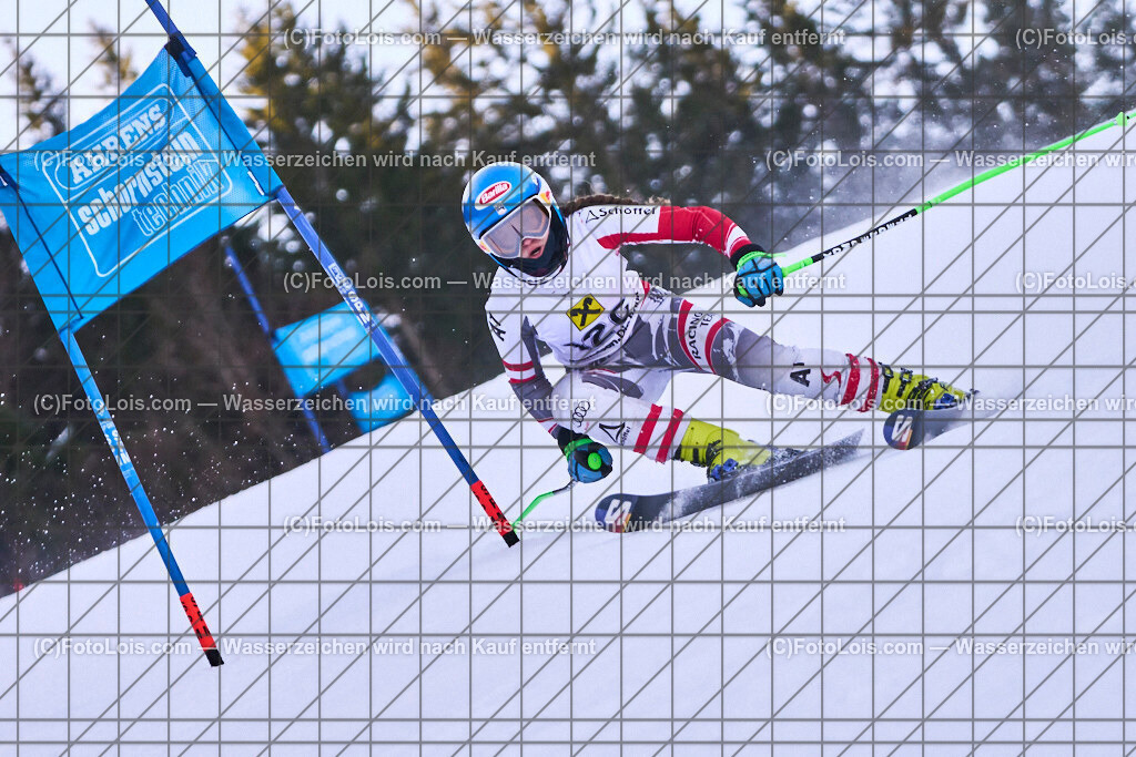 ALP5993_LM-der-Schulen_RTL_Fallmann Karla | Hochzeitsfotograf mit dem Blick für´s Wesentliche, Firmung, Erstkommunion, Firmenfeiern, Sportfotoservice, Reproduktionen, Konzertfotografie, Pressefotografie, Luftbildfotografie, Innenarchitektur, Werbefotografie, Sponsoren-Livebildfotografie.