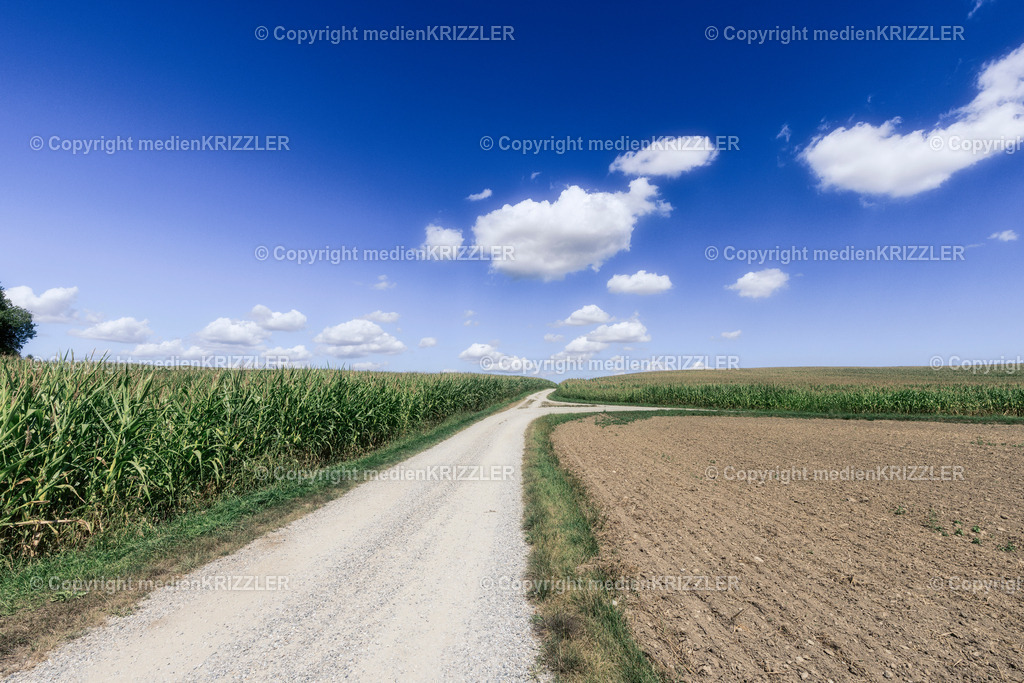 _J3A8453 | medienkrizzler - Realisiert mit Pictrs.com