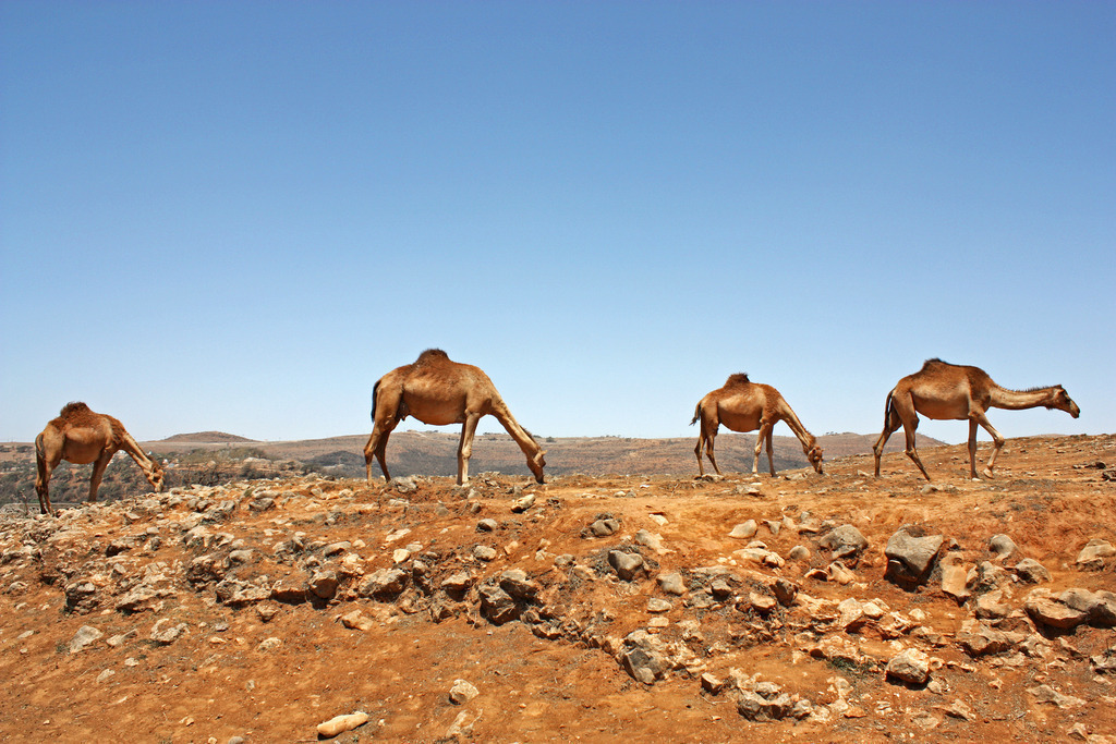 147a | ansichtssache