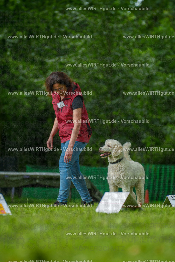 @allesWIRTHgut_Tierfotografie - www.allesWIRTHgut.de - 7R505254 | Professionelle Tierfotografie in Mönchengladbach von Daniel Wirth (allesWIRTHgut). Liebevolle & natürliche Bilder von Hunden & Katzen für unvergessliche Erinnerungen.