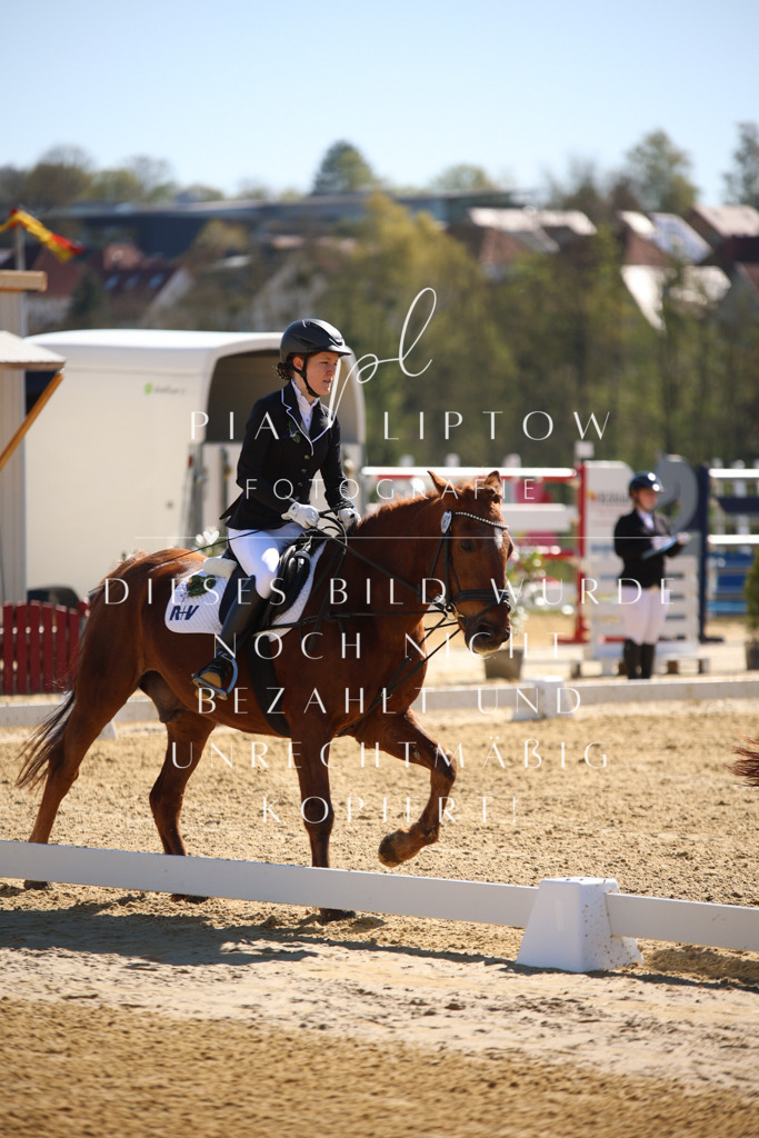 IMGT0545 | pl-fotografie