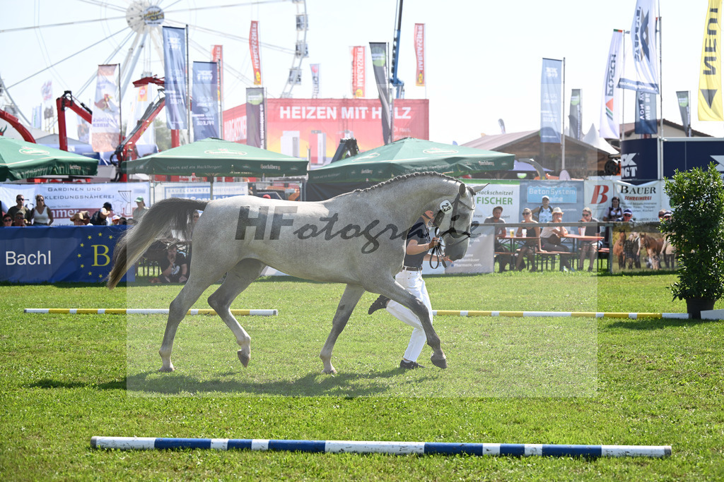 Kat-Nr. 23 nn v. Vingino_Schreder_34240530 | hf-fotografie - Realisiert mit Pictrs.com