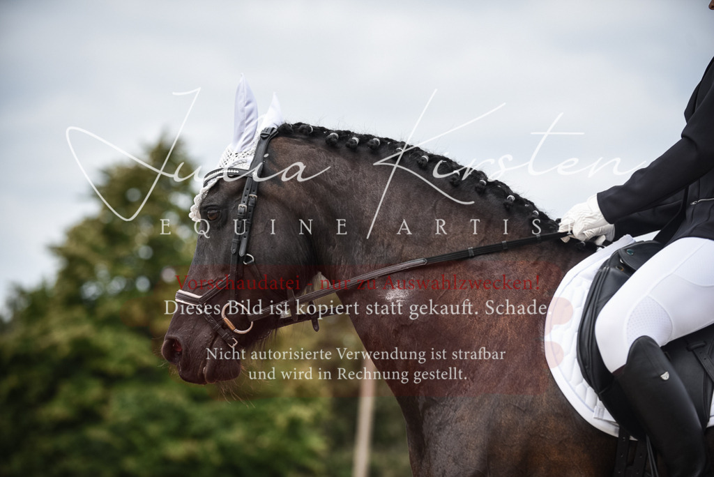 DSC_8600 | Pferde- und Turnierfotografie in Westsachsen. Pferdeportraits, Auftragszeichnungen und intuitive Kunst.