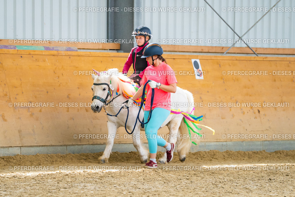 DSC00721 | Pferdegrafie