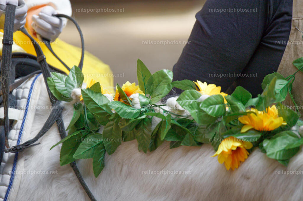 JHE_2653 | JoYa Fotografie - Realisiert mit Pictrs.com
