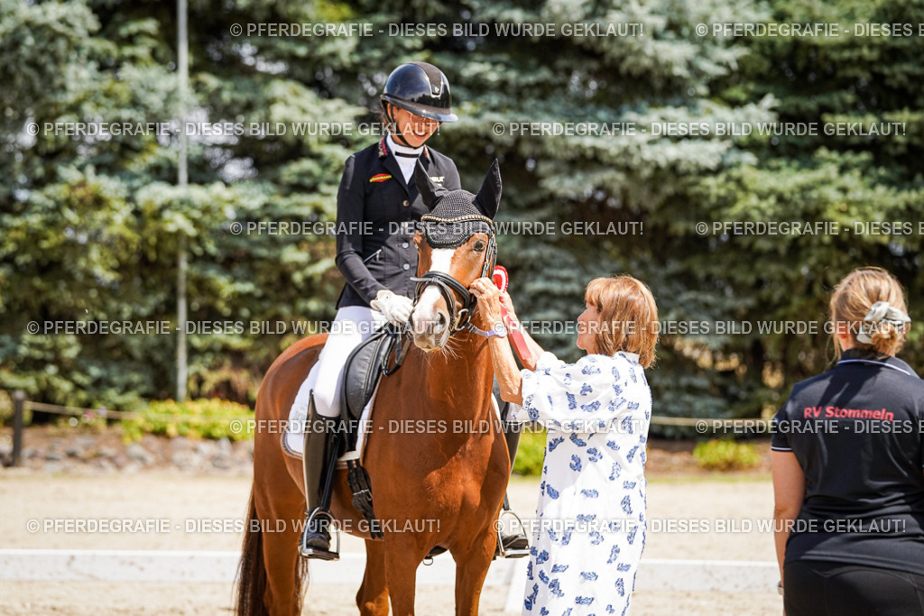 DSC01781 | Pferdegrafie