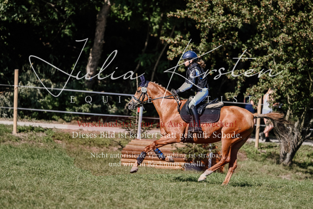 DSC_2989 | Pferde- und Turnierfotografie in Westsachsen. Pferdeportraits, Auftragszeichnungen und intuitive Kunst.