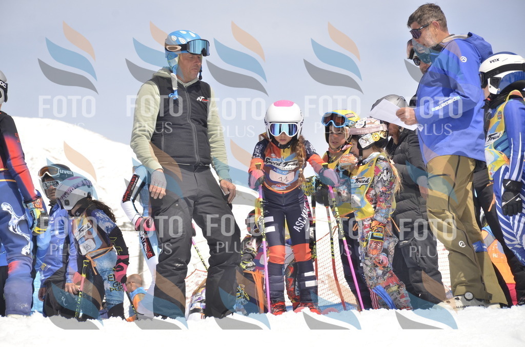 _ELE8573 | holidayphoto