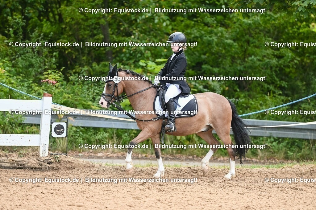 20230716_10-2_Reiter-WB Schritt - Trab - Galopp_0146 | equistock