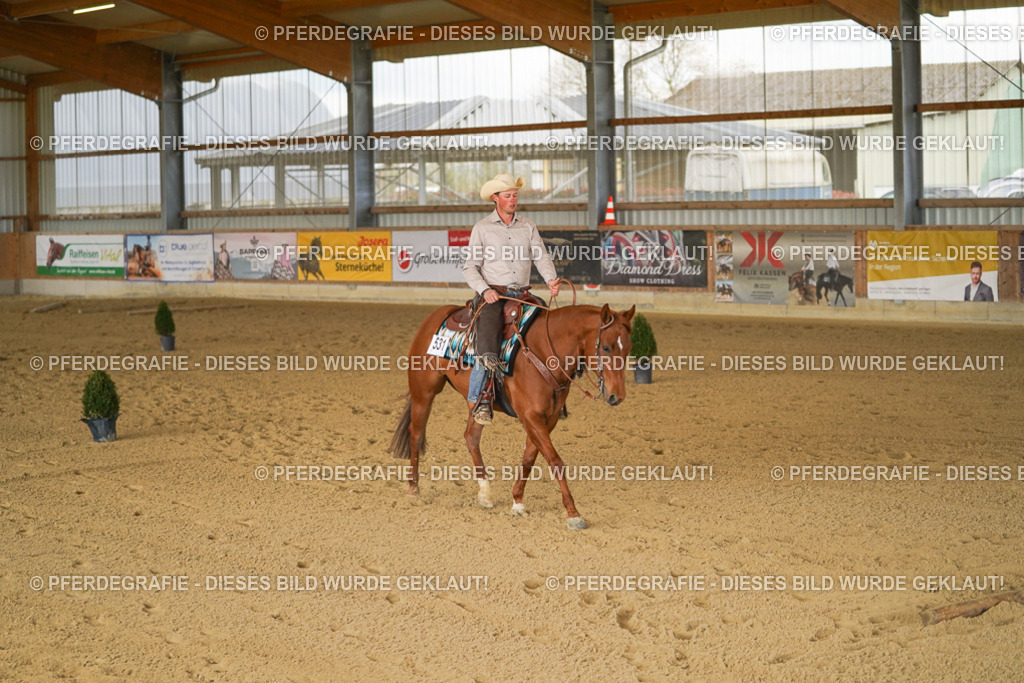 DSC02988 | Pferdegrafie