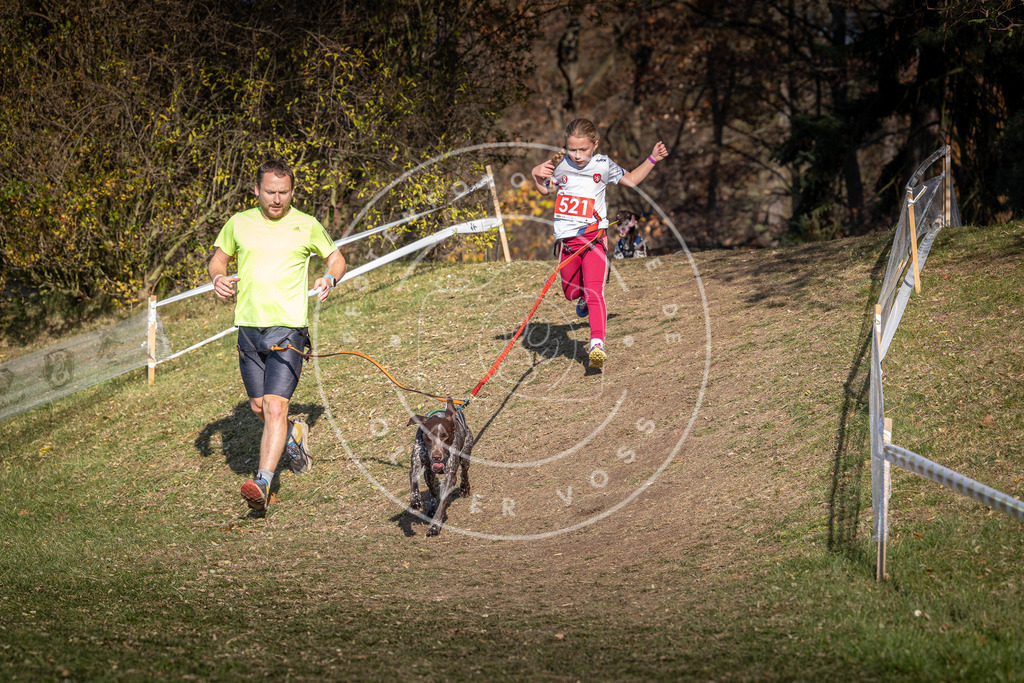 CaniXpix_0L8A8667 | Hundefotografie, Tierfotograf, Pfotenfotografie, Fotoshooting Hund, Hunde Portrait, Hundesport, Hundeportraits, Heideshooting, Hunde, Sportfotograf, Hundefotograf, Turnierhundsport, THS,  - Realisiert mit Pictrs.com