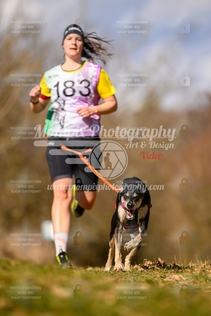 MompixPhotography_10Schwabentrail2026_SO_Canicross-84 | PayLife