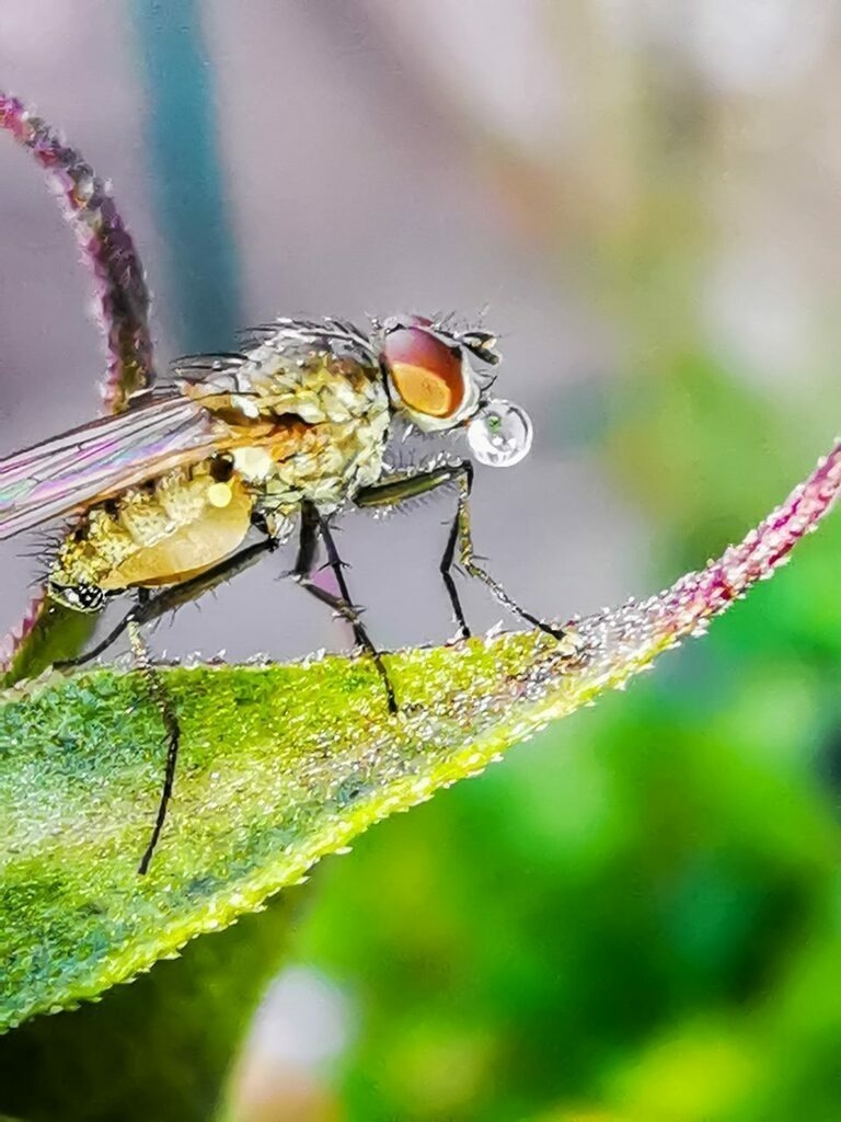 PSX_20221101_223928 | mtkfoto_ - Realisiert mit Pictrs.com