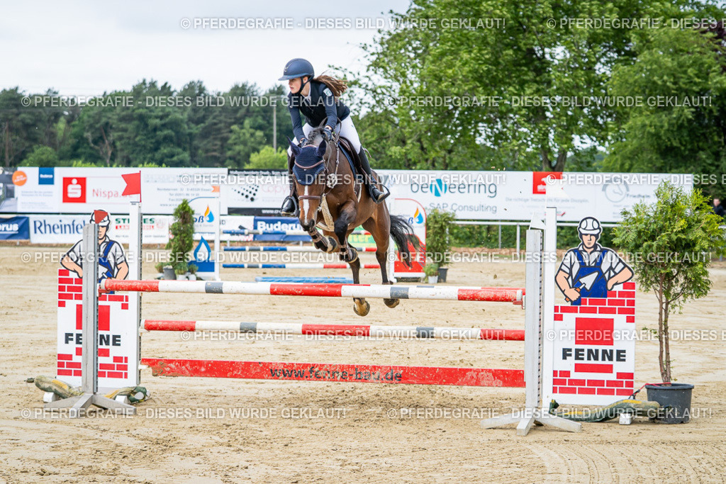 DSC04149 | Pferdegrafie